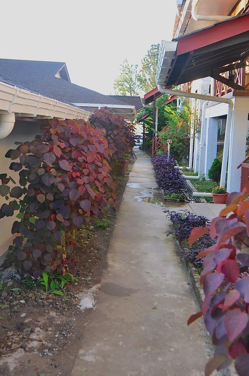 Nabalu Kundasang Kampong Kundassan Exterior foto